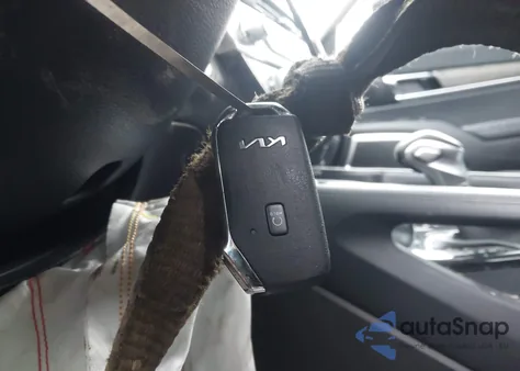 2022 Kia Telluride Ex z USA, uszkodzony, nr VIN 5XYP3DHC7NG307100